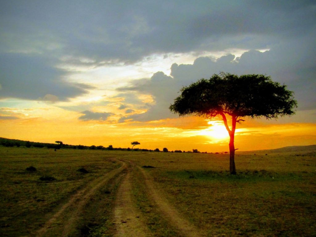 Increíble atardecer en Masai Mara en Kenia